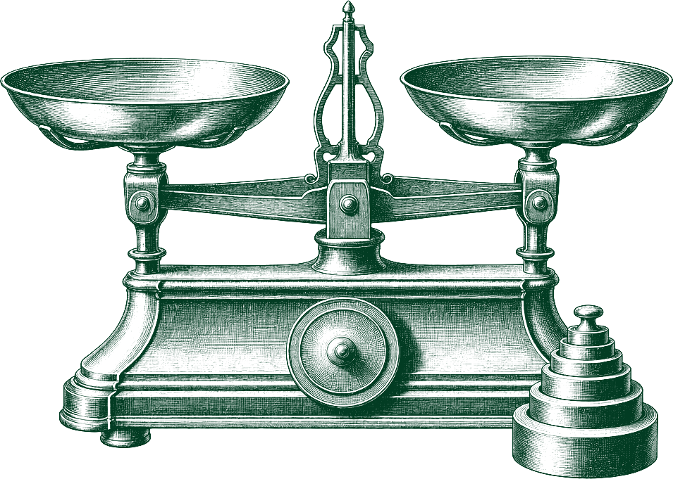 A pair of kitchen scales